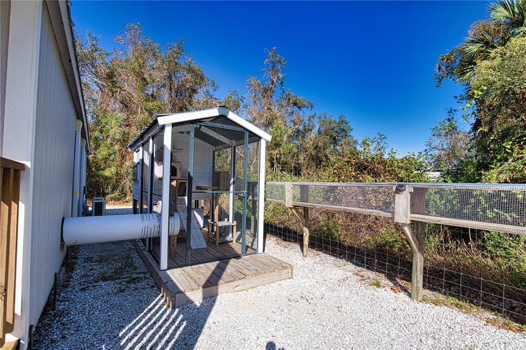 Cat Condo and/or Chicken Coop