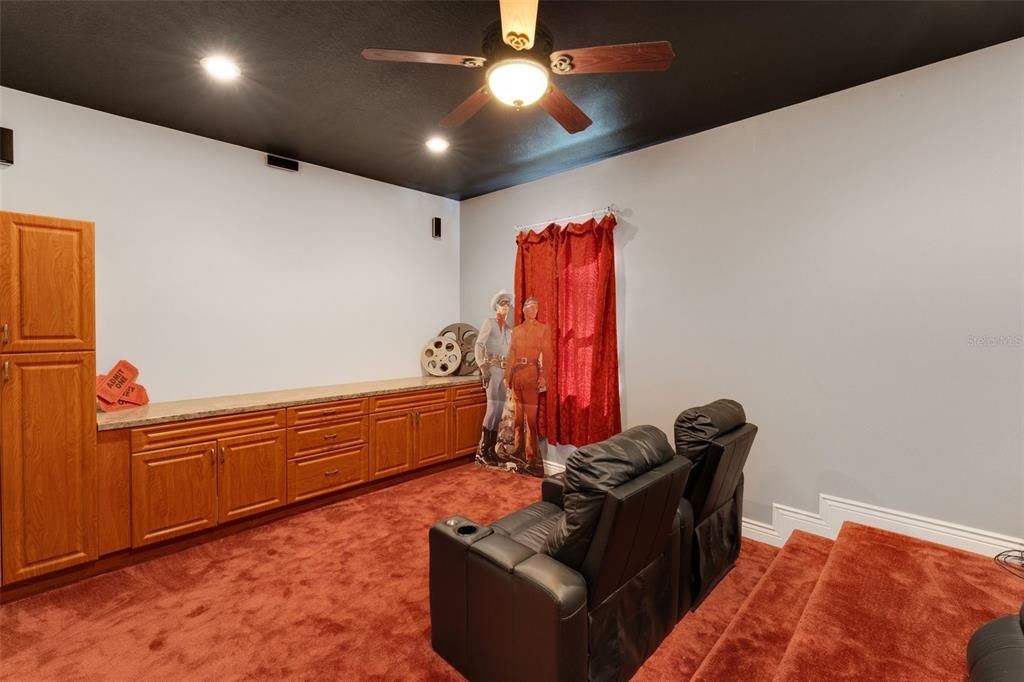 THEATER ROOM