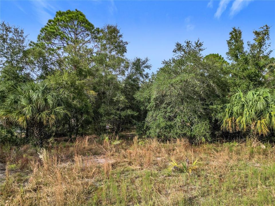 For Sale: $39,300 (1.89 acres)