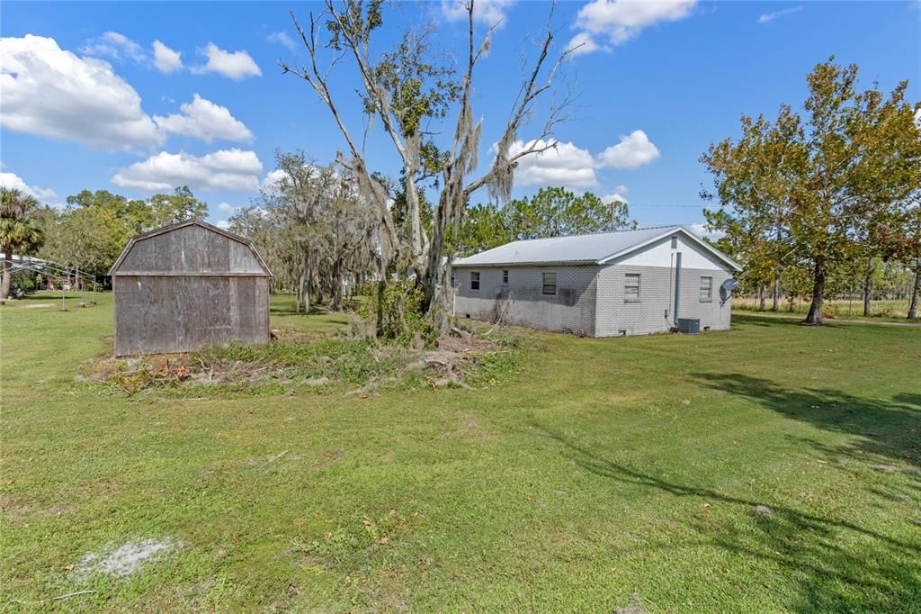 Large yard with Shed