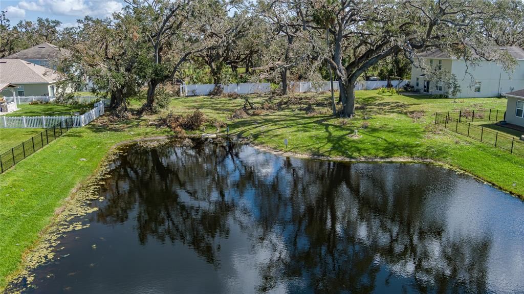 Pond View