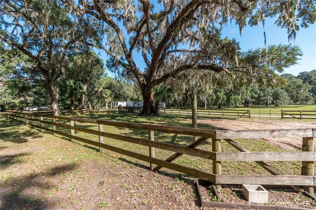 Small Paddock adjacent to stalls