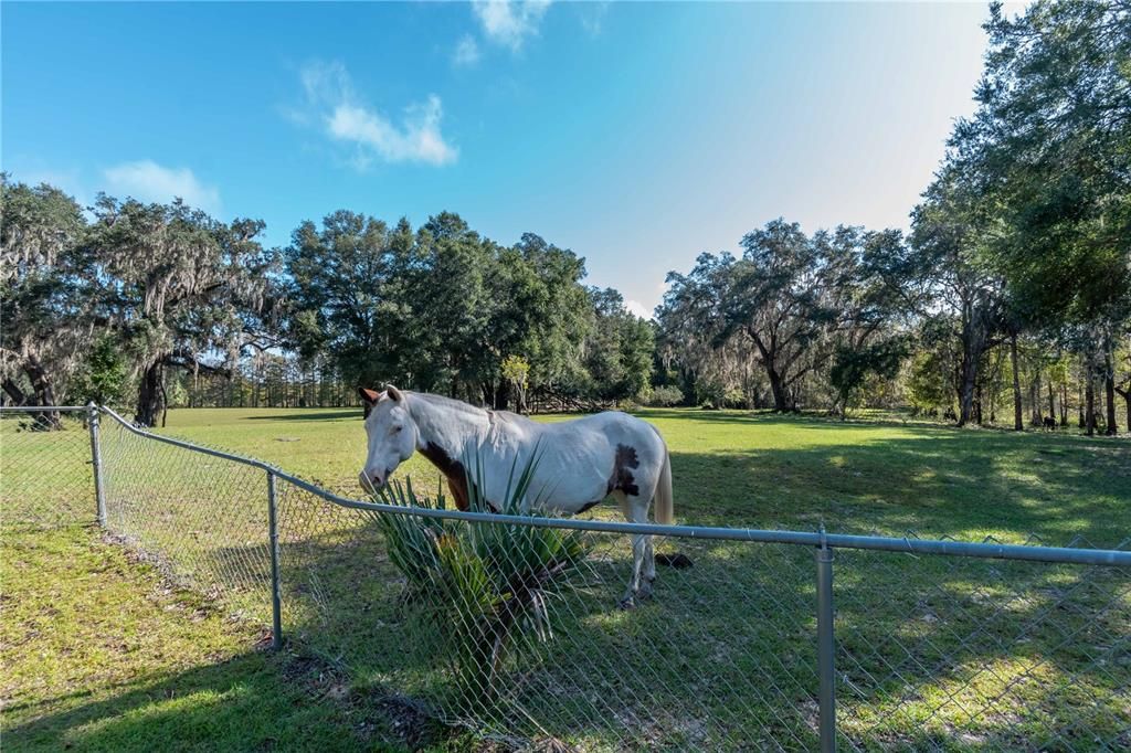 For Sale: $1,300,000 (4 beds, 2 baths, 2000 Square Feet)