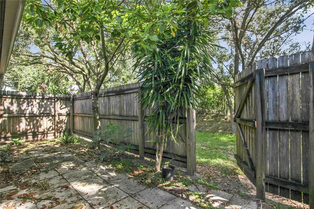 Fenced in Back Patio