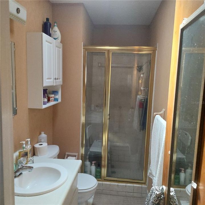 nice master bath w skylight and walk-in shower