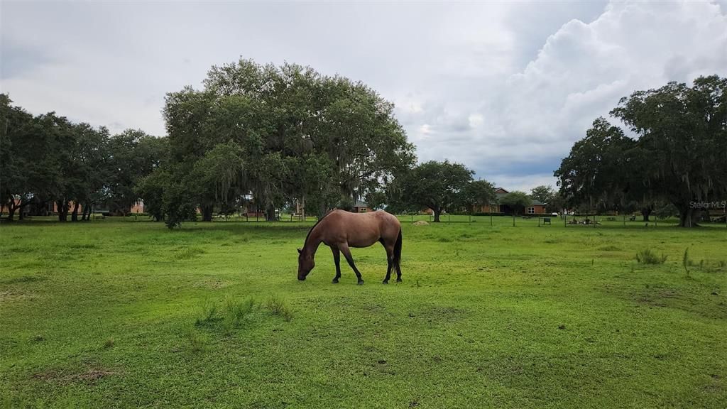 На продажу: $350,000 (0.07 acres)