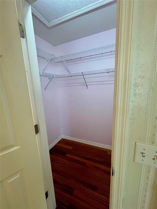 Walk in closet with wood floor