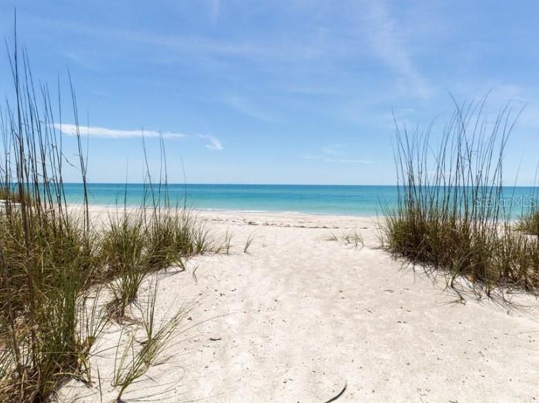 Miles of endless beach.