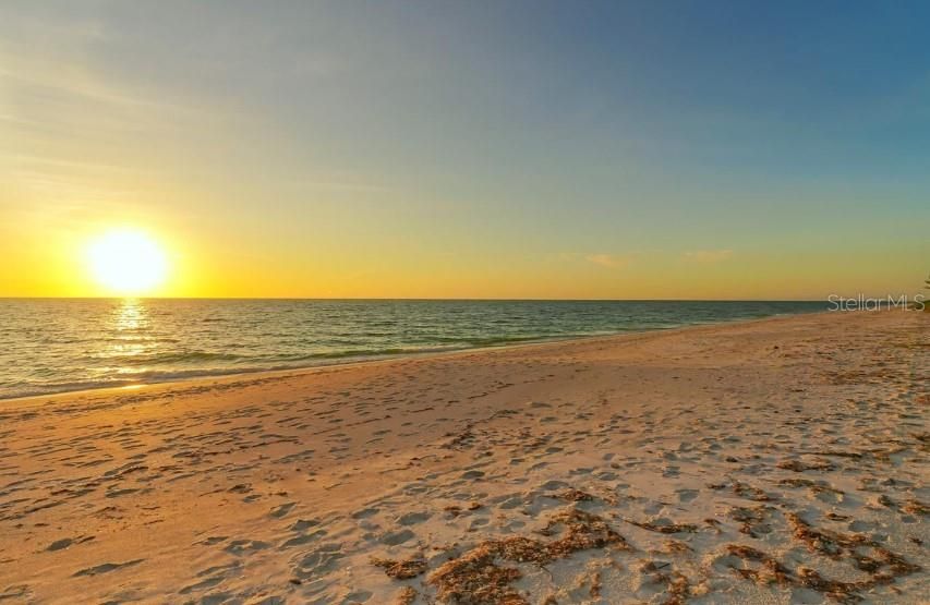 Miles of endless beach.