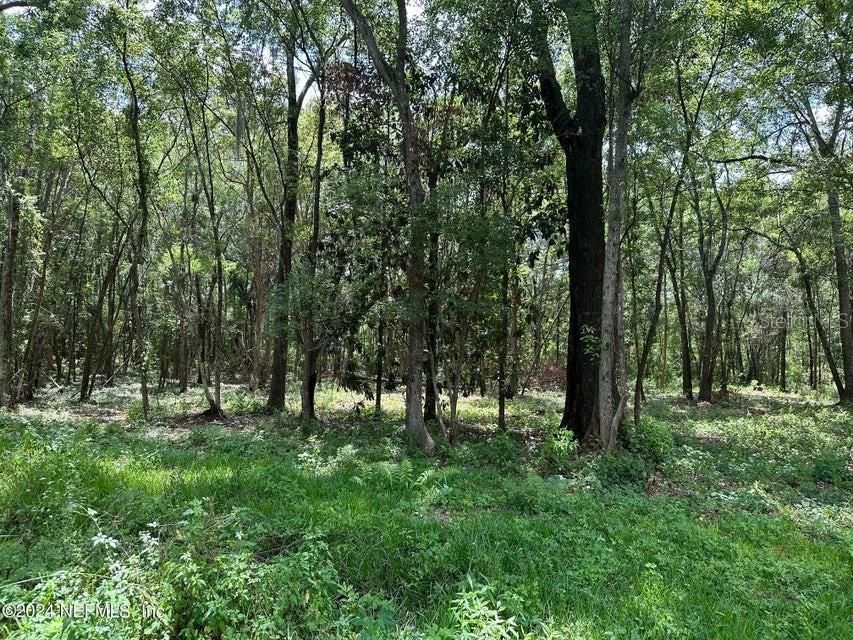 En Venta: $75,000 (1.52 acres)