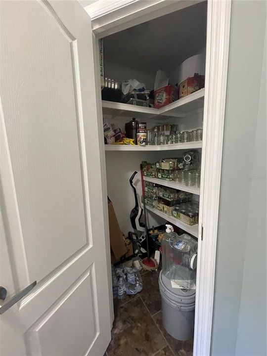 Large Pantry in utility room