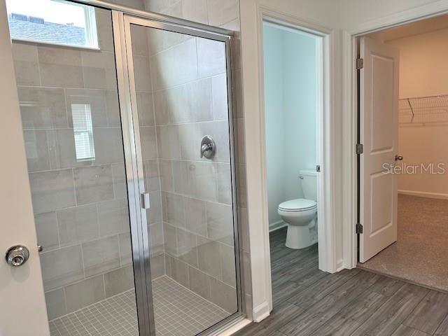 Primary Shower, Water Area, and Walk-in Closet