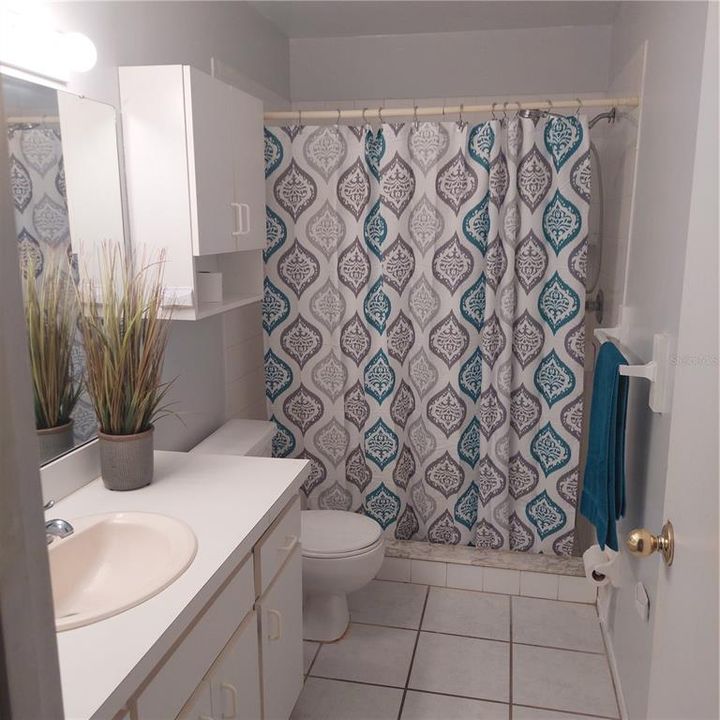 primary bathroom, walk-in shower