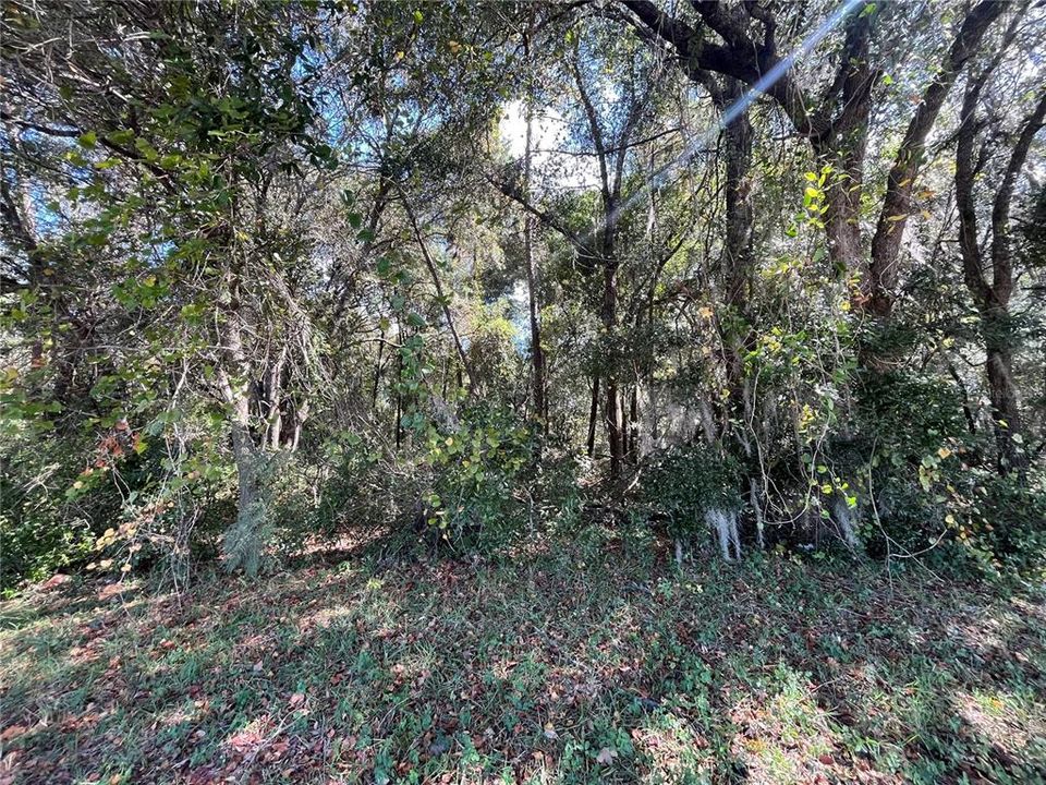 Active With Contract: $49,900 (0.69 acres)