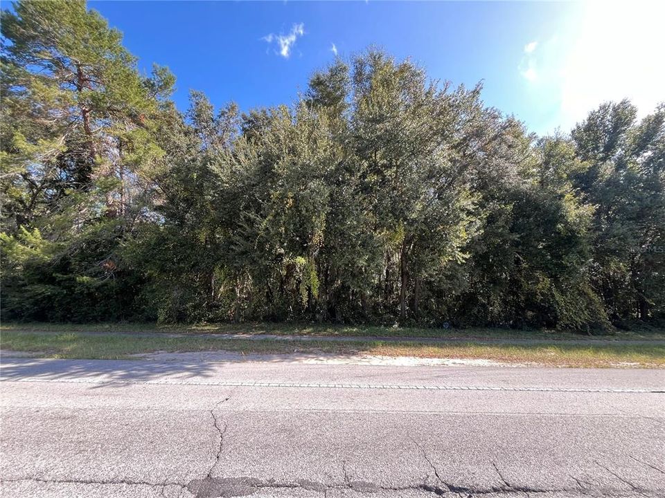 Active With Contract: $49,900 (0.69 acres)