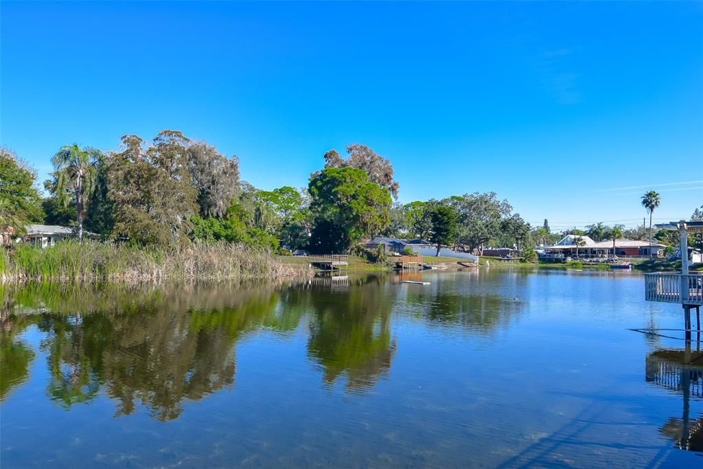 Backyard Views of Lake