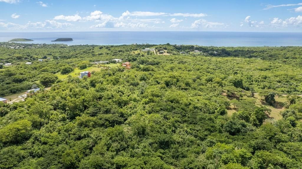 En Venta: $500,000 (5.79 acres)