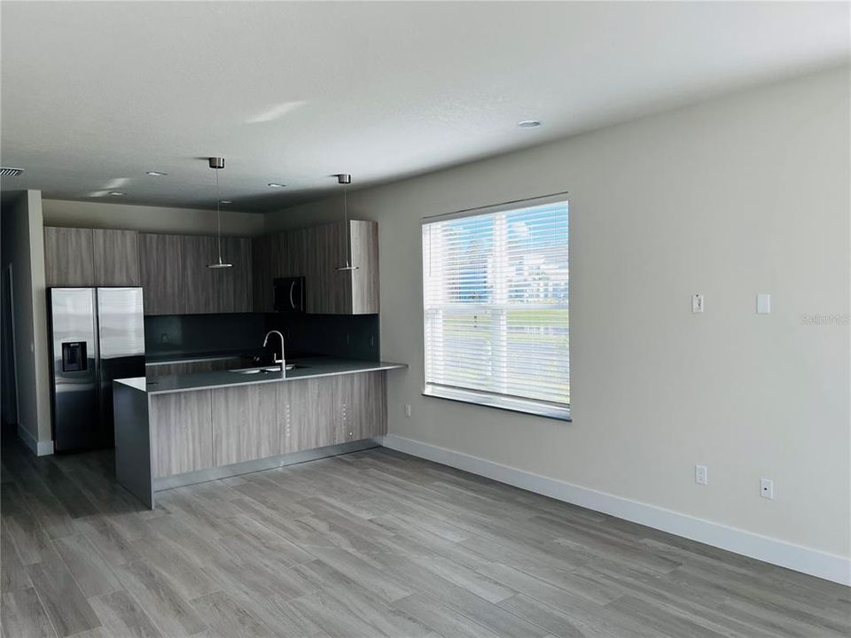 KITCHEN/LIVING /DINING AREA