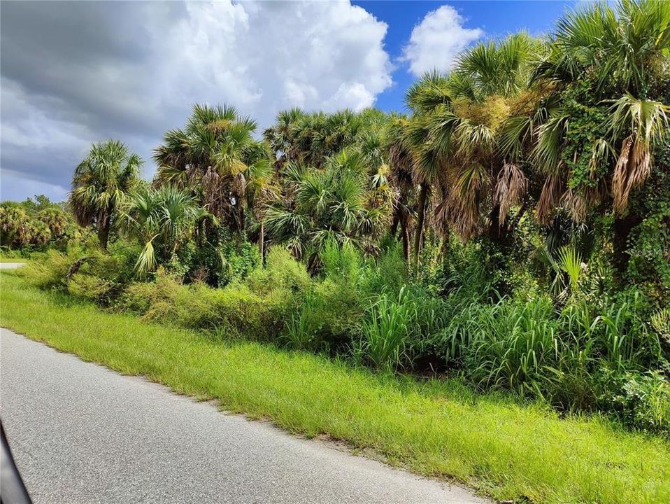 View from right side of property and road