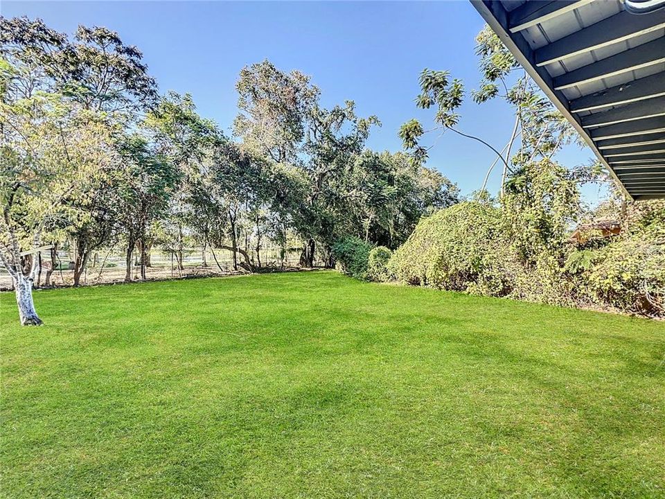 Huge Backyard with access to Demetree Park