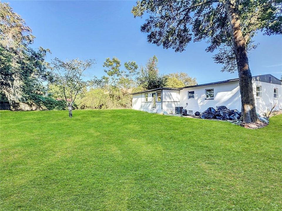 Huge Backyard with access to Demetree Park