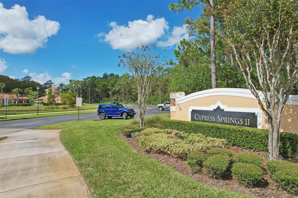 Cypress Springs 2 Amenities