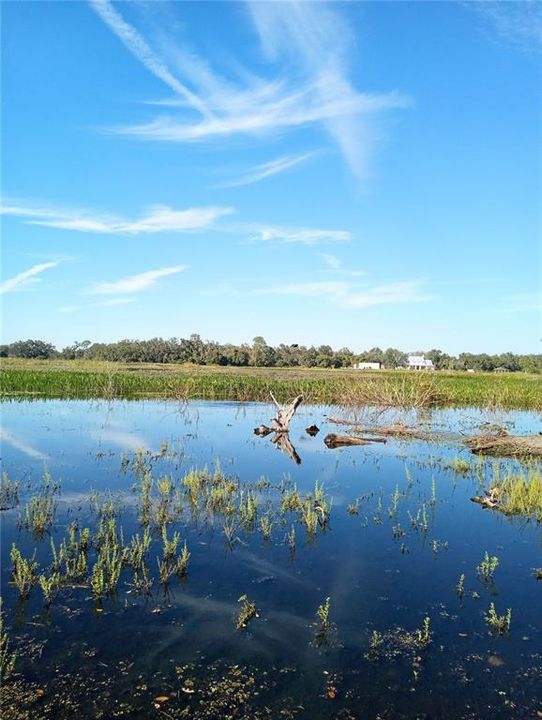 LAKE FRONT