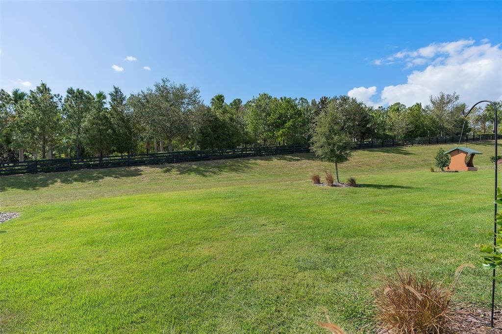 Rear Yard with privacy