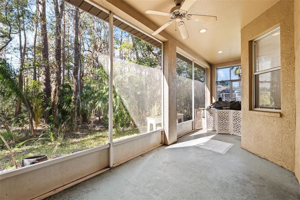 Enclosed Patio with Conservation View.