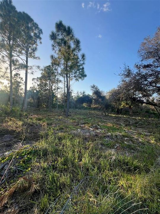 En Venta: $14,900 (0.20 acres)