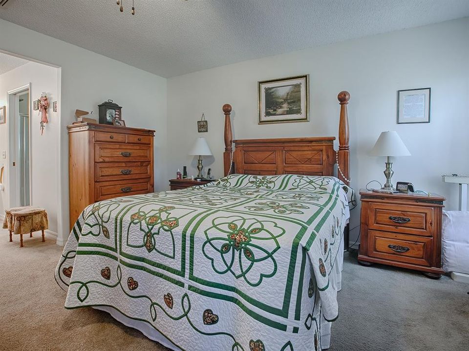 THIS VIEW SHOWS ENTRANCE TO EN SUITE MASTER BATH AND WALK-IN CLOSET