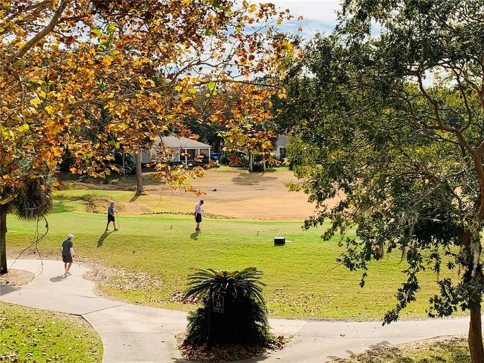 view of 15 tee