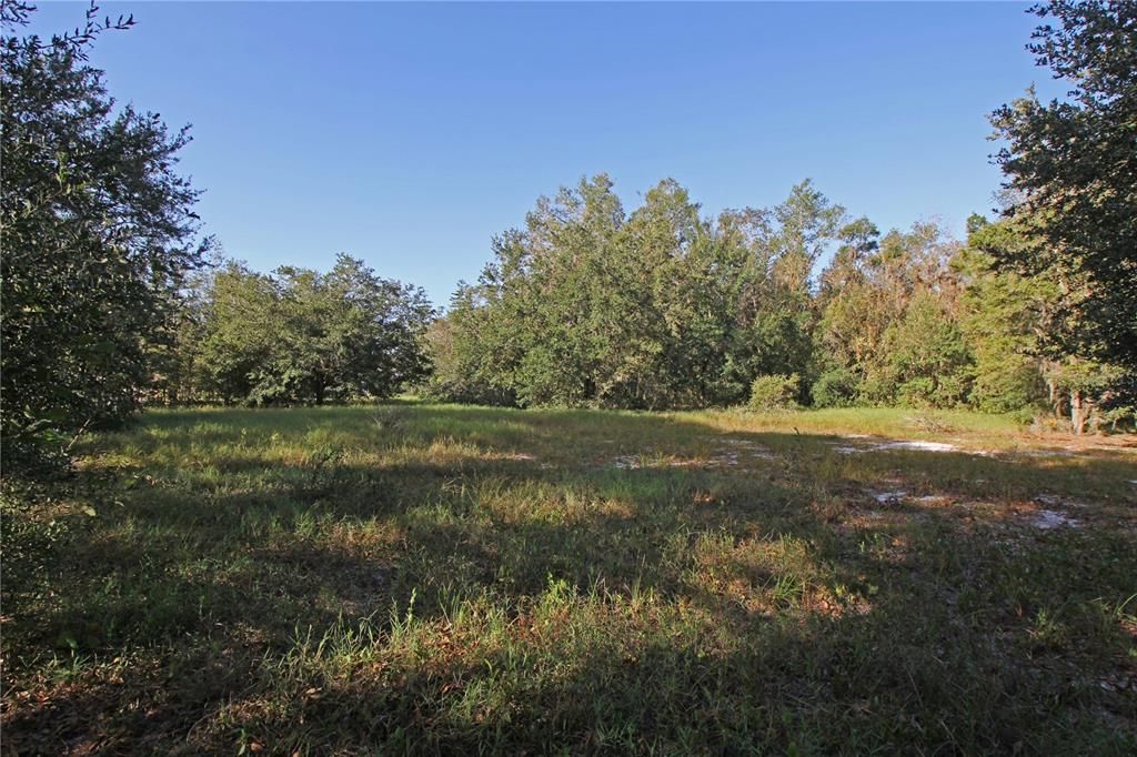 For Sale: $325,000 (15.00 acres)