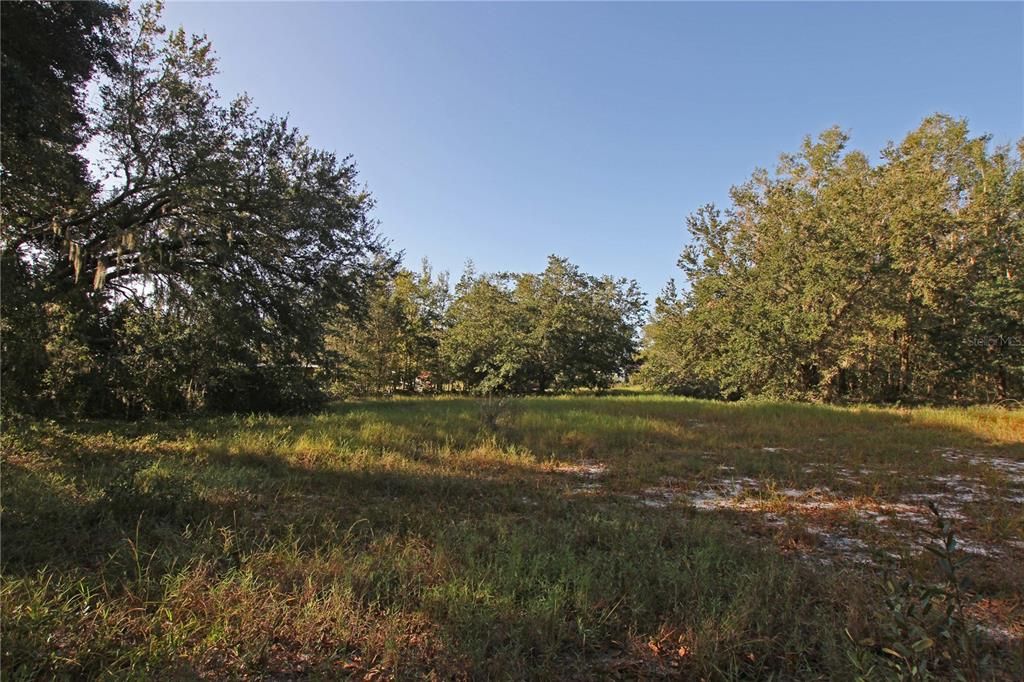 For Sale: $325,000 (15.00 acres)