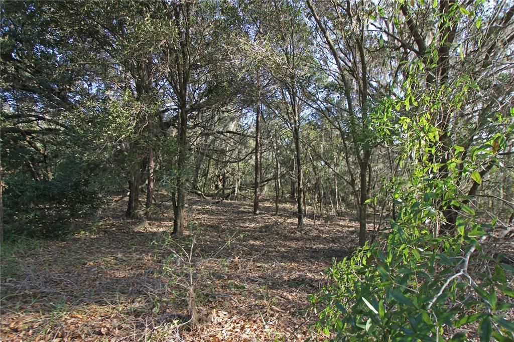 For Sale: $325,000 (15.00 acres)