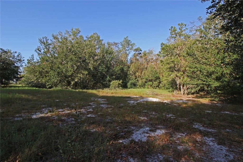 For Sale: $325,000 (15.00 acres)