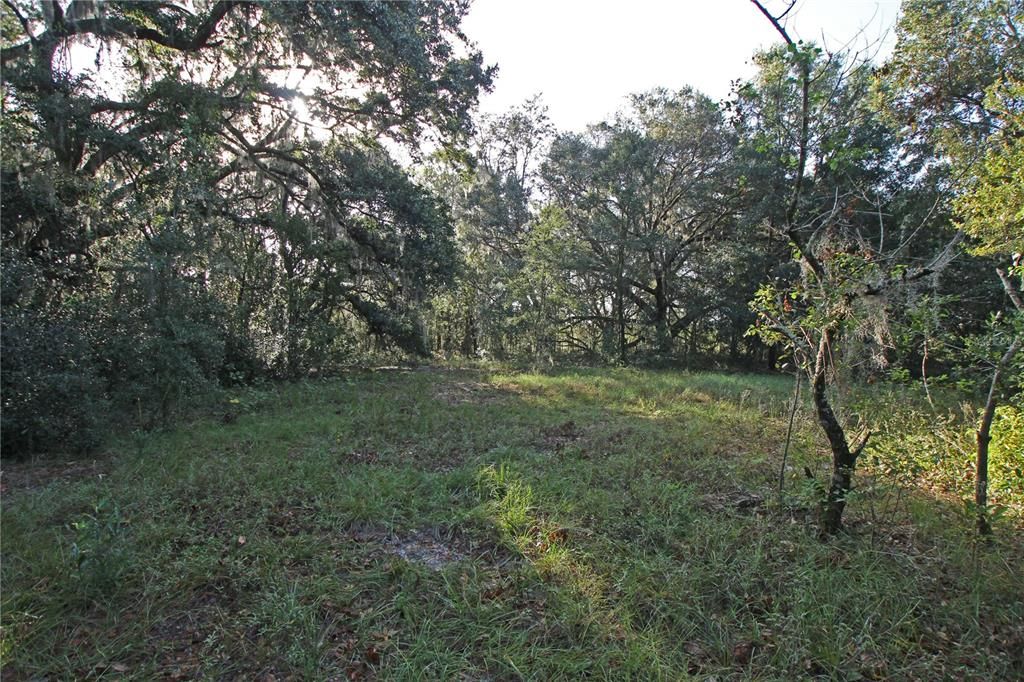 For Sale: $325,000 (15.00 acres)