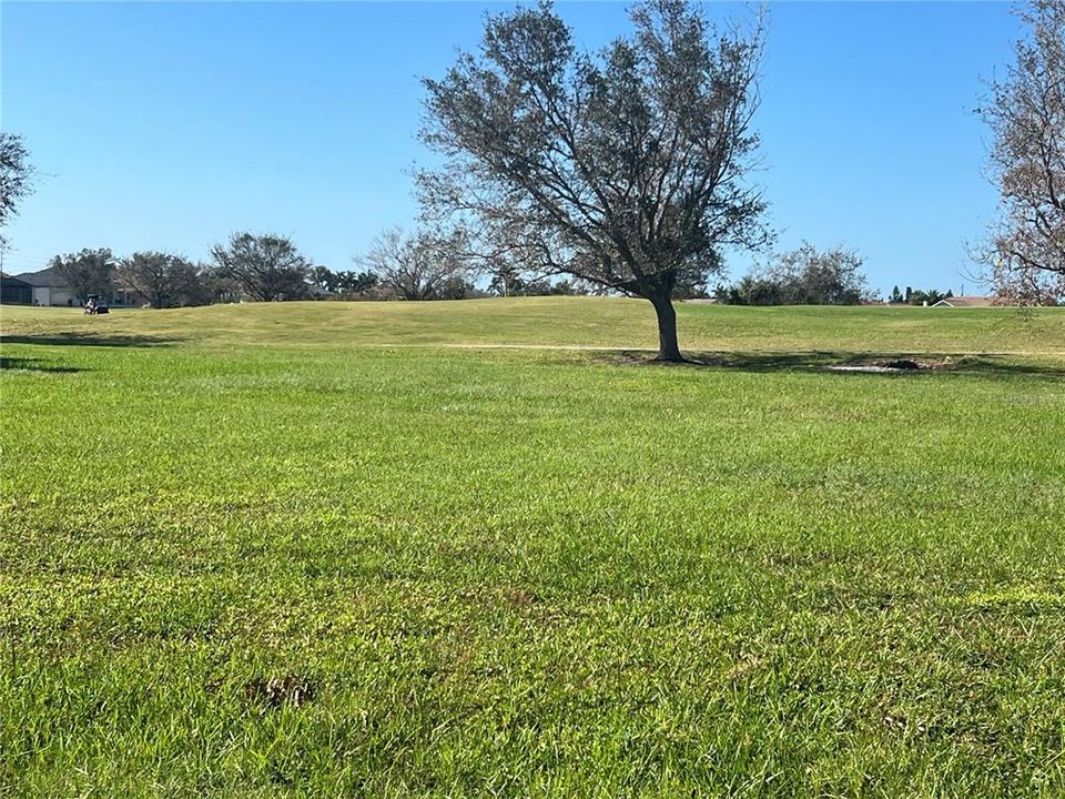 Golfers on course