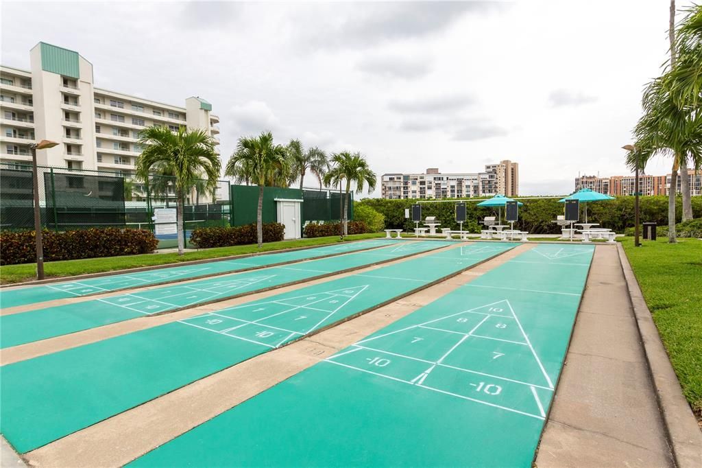 Shuffleboard