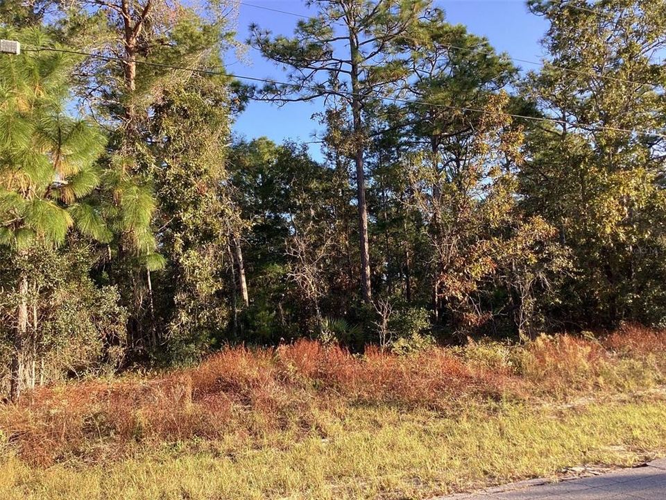 Active With Contract: $55,000 (1.00 acres)