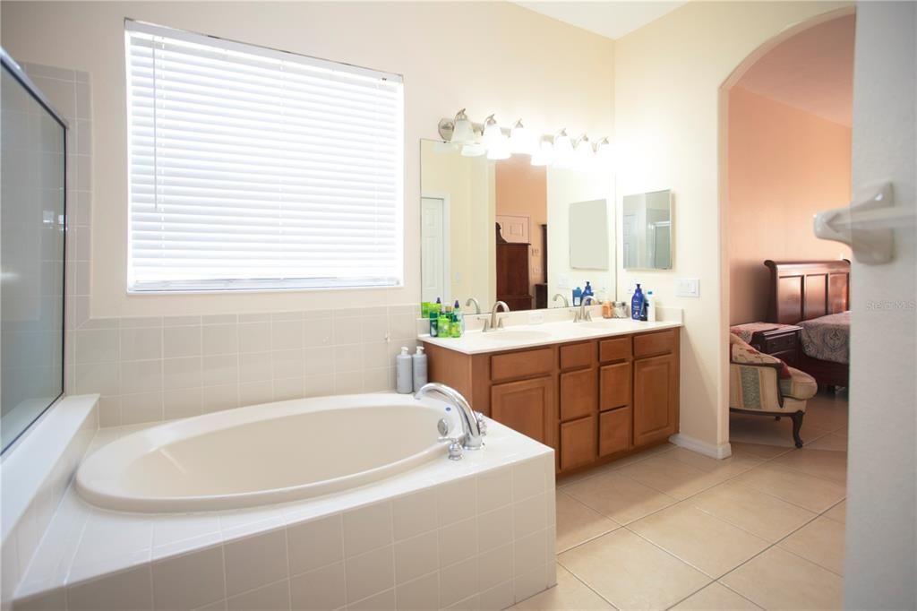 Master Bathroom with Soaking Tub