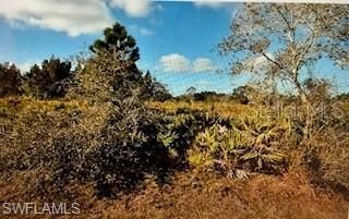 En Venta: $42,000 (0.22 acres)