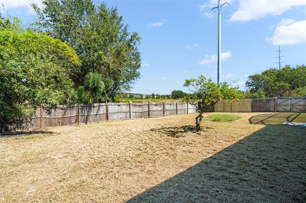 For Sale: $499,000 (3 beds, 2 baths, 2074 Square Feet)