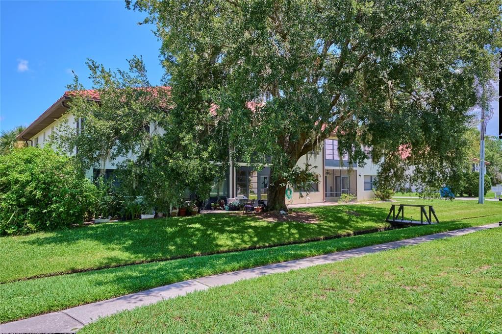 Beautiful oak trees around the property