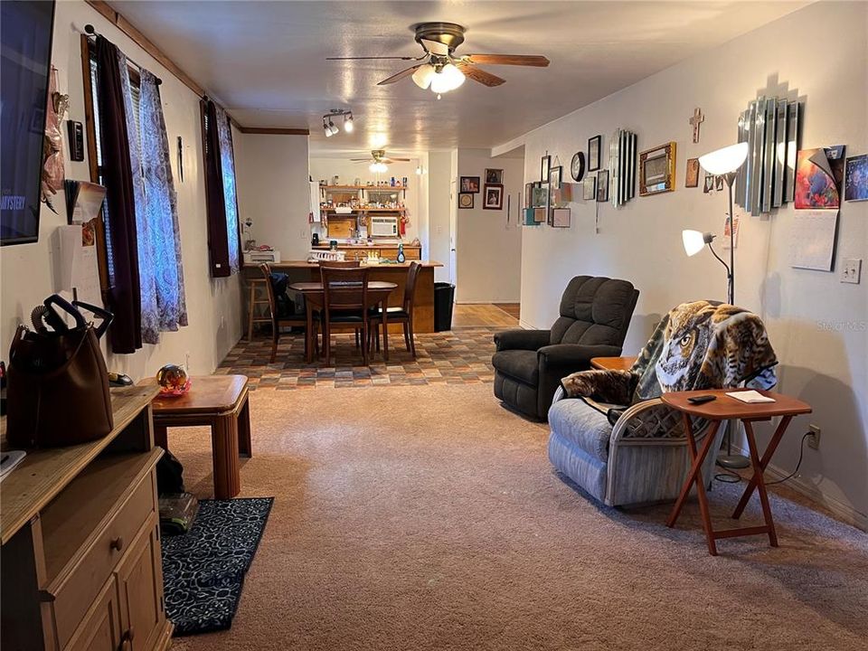 Living area with new carpeting