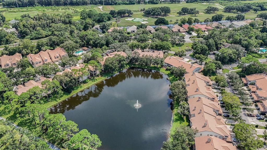 Pond Behind the Home