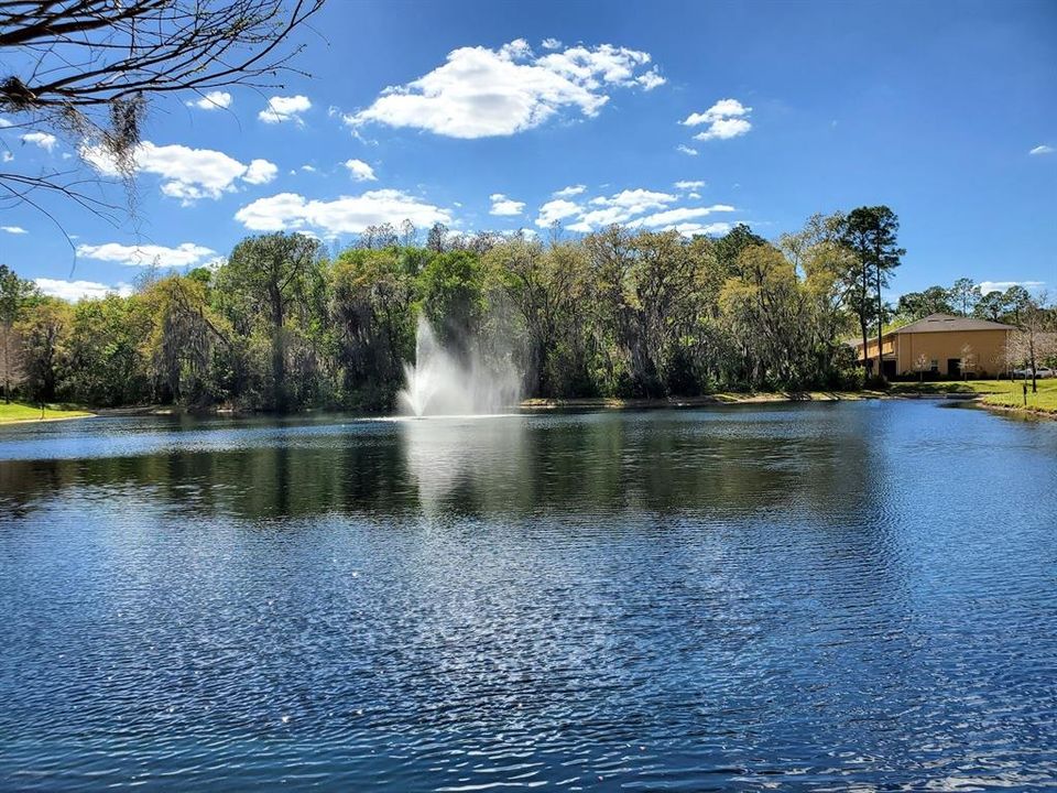 Community Pond