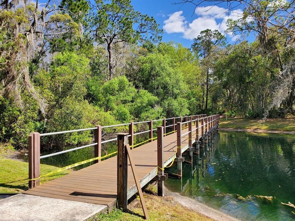 Walking Path