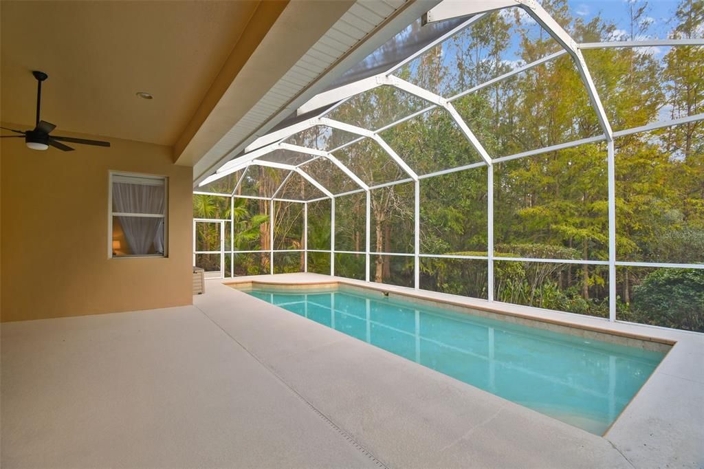 Screened in pool