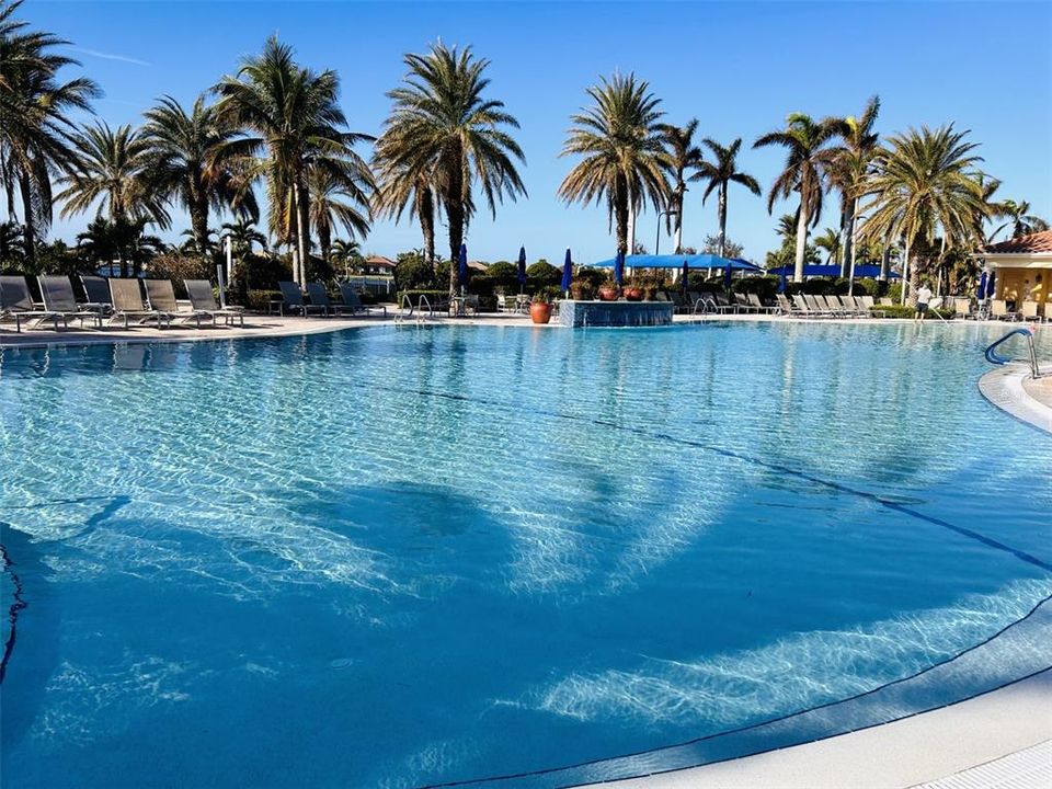 Resort Pool